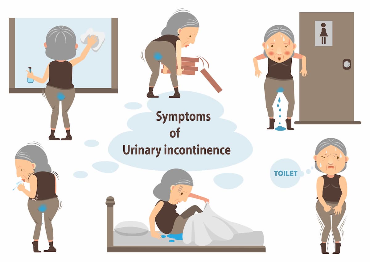 incontinence senior