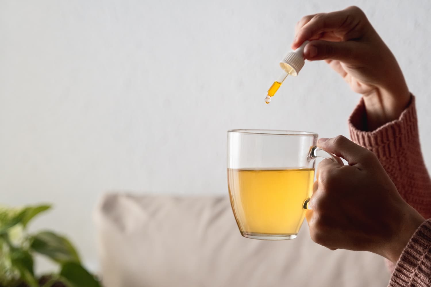 infusion cbd